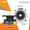 PRV AUDIO 4 Inch Titanium Bullet Tweeter Pair TW700Ti-4 Slim