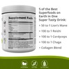 BiOptimizers Chocolicious Mushroom Breakthrough | Nootropic Supplement Blended Powder of