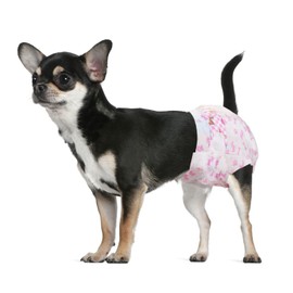 Dono Disposable Dog Diapers Female, Super Absorbent Doggie Diaper, Rapid-Dry Gel Technology Puppy Diapers, Leak-Proof Fit Cat Diapers for Doggy in Heat,Excitable Urination,Incontinence,Training