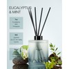 M&SENSE Eucalyptus Mint Reed Diffuser Set - 16.9 fl oz