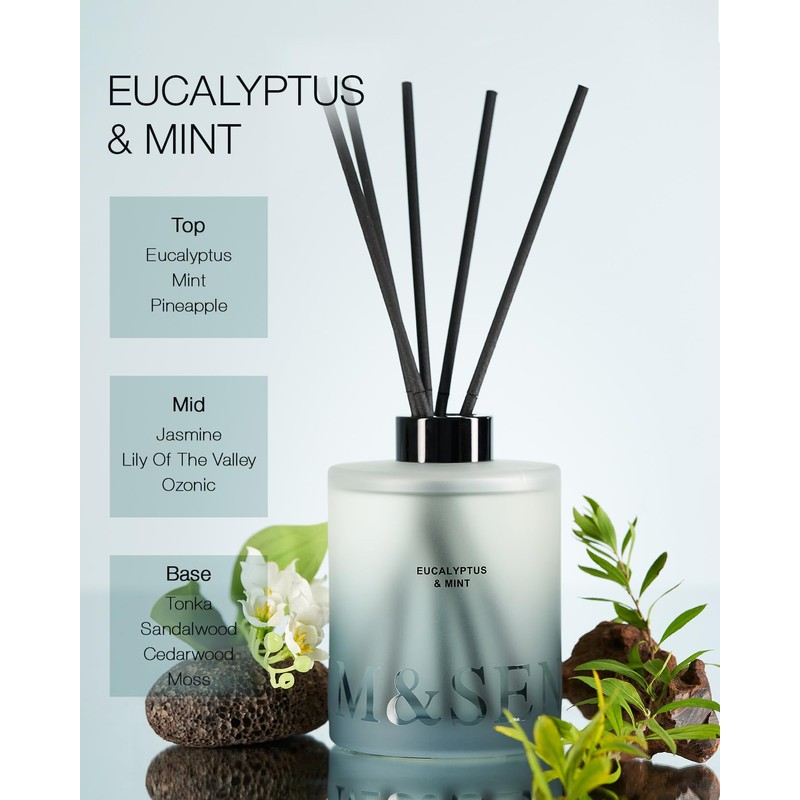 M&SENSE Eucalyptus Mint Reed Diffuser Set - 16.9 fl oz