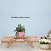 Wooden Standing Foldable 2-layered Potted Plant Flower Shelf Storage Rack