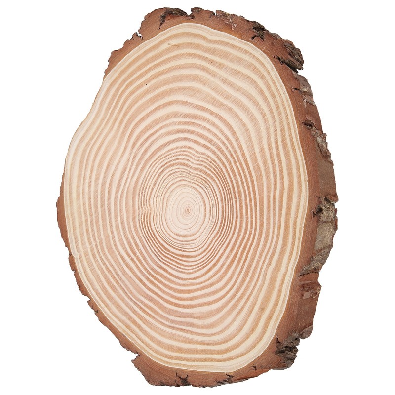 Natural Wood Slices Unfinished Wood Circles Ornaments Irregular Wood Slices