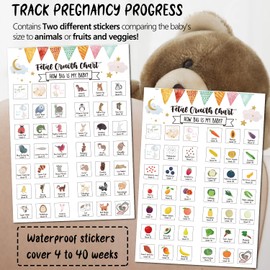 Pregnancy Water Bottle Tracker(Black), 1st Trimester Must Haves Gift for First Time Moms, with 2 Different Weekly Stickers, Early Essentials Gifts for Pregnant Women, Maternity, BPA Free