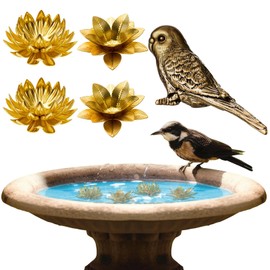 AceOrbit 5 Pcs 99.99% Pure Copper Bird Bath Disk Ornaments Mini Copper Bird Bath Purification Disks Birdbath Cleaner Physical Safe Water Purify Outdoor Birdbath Bowls All-Season