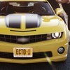 Coikll Pink Bow License Plate 2 Holes Frame Rustproof Aluminium