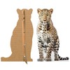 Persian Leopard - Life Size Cardboard Cutout Standup People with