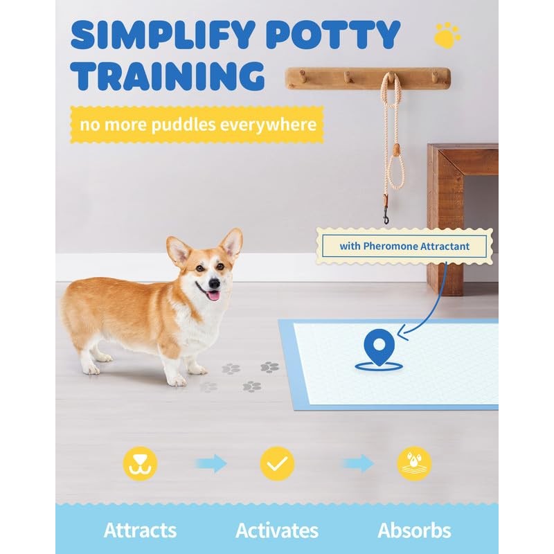 50-Pack X-Large Puppy Pads - 34" x 28" Pee Pads
