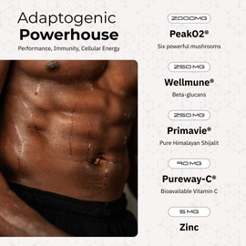 Polvo de hongos ARC Resilience: aumenta la concentración, la energía y la inmunidad de forma natural con melena de león, cordyceps y reishi. Favorece la claridad mental y el