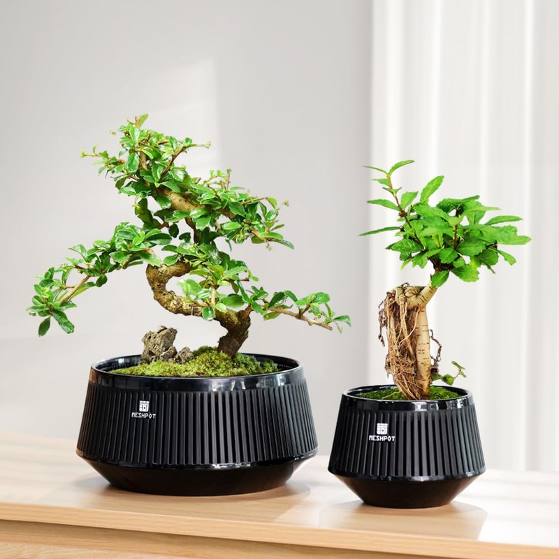 Meshpot 5 Inch Bonsai Pots with Drainage Tray, Set of