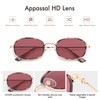 Appassal Retro Oval Sunglasses for Women Men Trendy Round Y2k