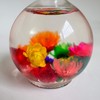 Vanfa Cuticle Oil infused with real flower 0.42 Oz -