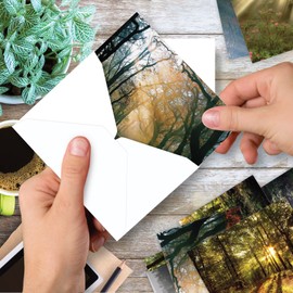 The Best Card Company Shining Through - 20 Assorted Boxed Sympathy Thank You Note Cards with Envelopes (4 x 5.12 Inch) - With Breathtaking Sunlit Landscapes AM1735STG-B2x10