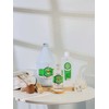 Carebeau Thai massage oil, Carebeau Spa oil, Thai spa, Massage