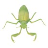 Remote Control Insects RC Animals Children Adults Trick Toys Electric
