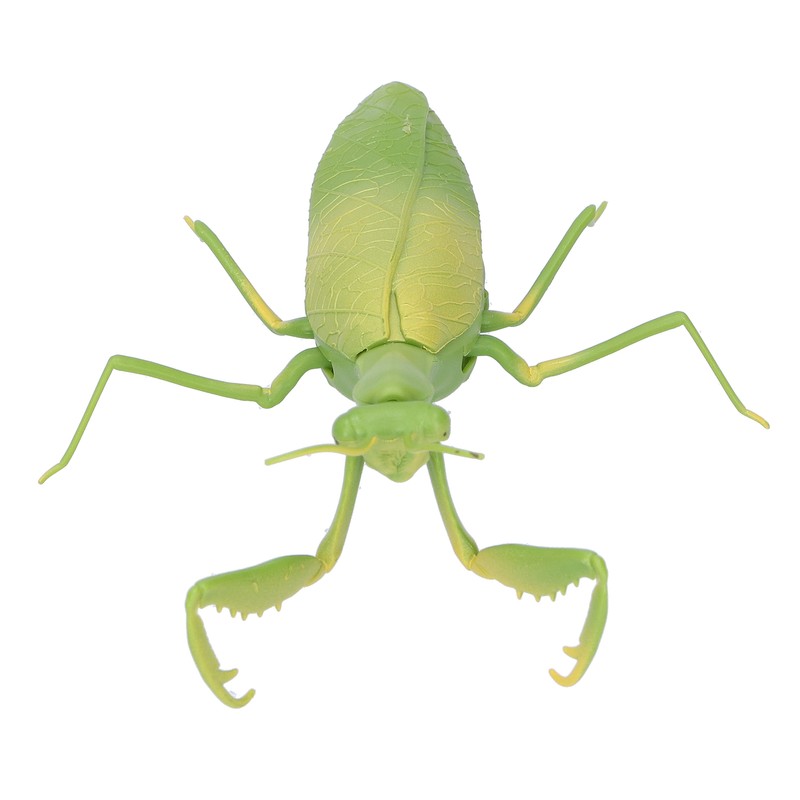 Remote Control Insects RC Animals Children Adults Trick Toys Electric