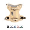 2025 New Edition, Fei & Eve Classic Dog Harness -