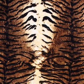 Pack of 5 Plotter Film Textile, 9.84 x 12 Inch Leopard Vinyl Film, Heat Transfer Vinyl, Transfer Paper for Iron-On Plotter, Heat Transfer Film Plotter