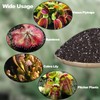 Doter Carnivorous Plant Soil Mix for Repotting 4 QT, All