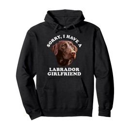 Funny Chocolate Labrador Dog Owner Pullover Hoodie