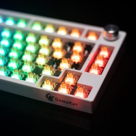 GK GAMAKAY Phoenix Linear Silent Keyboard Switch with LED Diffuser for Backlit Mechanical Keyboard 5 Pin Pre-lubed Switches for DIY (Phoenix V2 Switch-70Pcs)