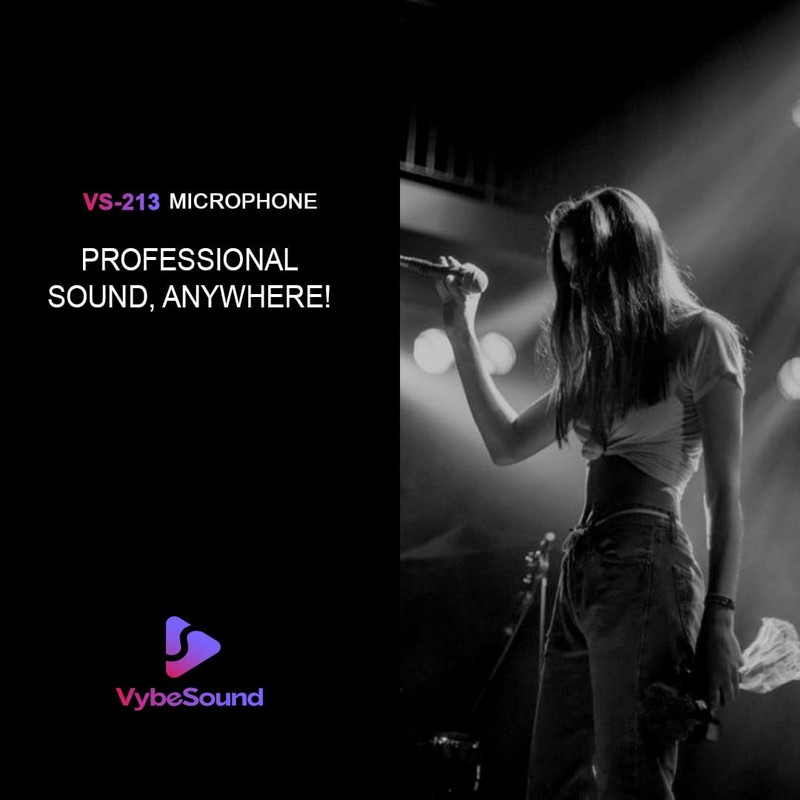 VybeSound VS-213 Professional Dynamic Vocal Microphone – 13ft XLR Cable,