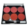 Paleta De Rubor Con Varios Tonos Matte Polvo Rubor Bluser