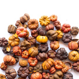 Putka Pods Pumpkin Spice Scented Brown/Orange Mini Pumpkins, Great for Fall Potpourri Crafts and Bowl Filler, Home Decor 5 Cups