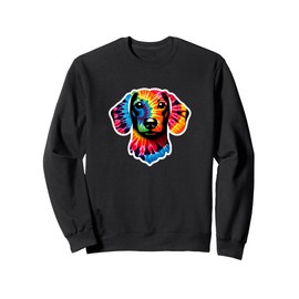 Dachshund Tie Dye Dog Lover Hippie Sweatshirt