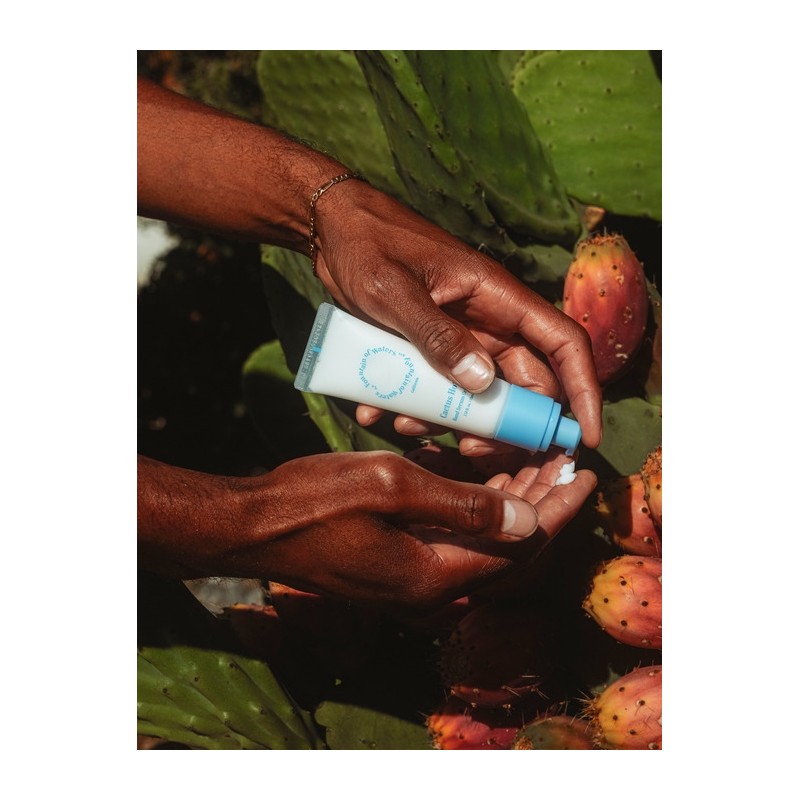 Cactus Hotel Hand Serum Cream / 캑터스 호텔 핸드세럼크림