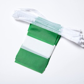 WXTWK Nigeria Flags Nigerians Small Mini Pennant String Banner Flag Festival Decorations(50 Feet 38 Flags)