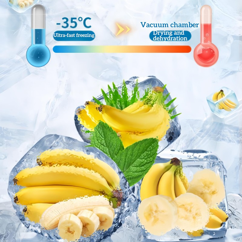 Freeze-Dried Banana Slices | Pure Fruit Snack | Crunchy Travel