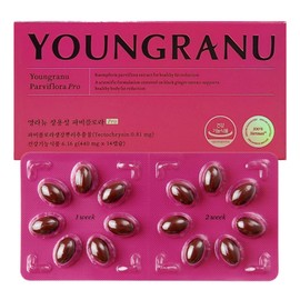 Youngran Jang Home Shopping Youngla New Fabiflora Pro Mom Diet Papi Flora Efficacy 14 Capsules 3 Boxes / 장영란 홈쇼핑 영라뉴 파비플로라 프로 엄마 다이어트 파피플로라 효능 14캡슐 3박스