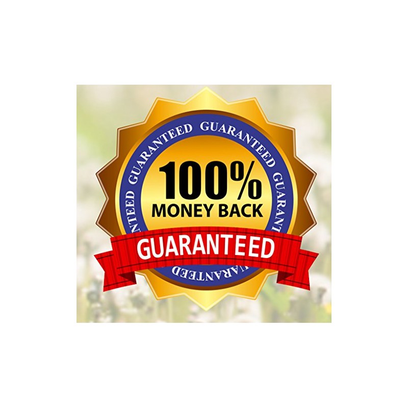 RenuPlex Extra Strength Dog Skin & Coat Spray for Help