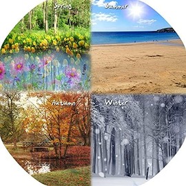 The Four Seasons Children's Tuff Tray Play Mat - 33.8 x 33.8 Inches - Vinyl - Tuff Tray NOT Included