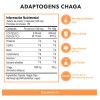 Chaga en Ultra Concentrado 1,000 mg por Dosis - 300