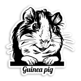 2 x 10cm Cute Guinea Pig Vinyl Stickers - Pet Animal Kids Sticker #29803