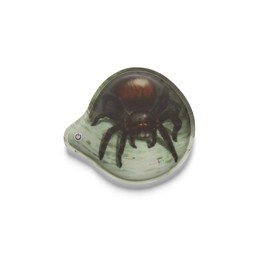 ergobag Blinkie Klettie Motif World Theme World Velcro Surfaces Collecting Fun Customisation, Spider - Colourful, Embellished