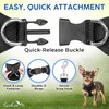EcoEarth Dog Harness (Medium, Black) W/Leash for Running, Hiking &