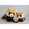 Red Panda S Brown, Orange, White Z0179