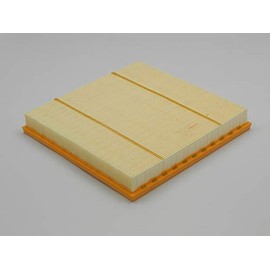 WINFIL FAF-DW-028 Air Filter