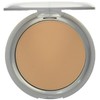 L'Oreal True Match Super-Blendable Powder, Honey Beige [N6], 0.33 oz