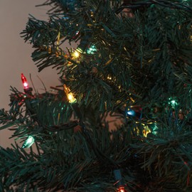 MYGOTO 2 PACK 23ft 100 Clear Mini Easter String Lights on Green Wire, UL Approved for Indoor/Outdoor Use,Connectable 120V Clear Tree Lights for Christmas Wedding, Bedroom, Porch Decor(Multicolor)