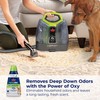 Bissell PET PRO OXY Spot & Stain Formula for Portable