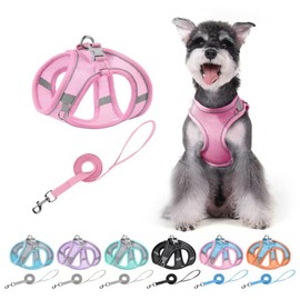 Pechera Arnés Transpirable Cómodo con Correa para Perro Gato,con Tira Reflectante (Rosa, XS)                                                          