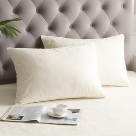 PHF Super Soft Velvet Pillowcases Standard Size, No Insert, 2 Pack Luxury Cozy Warm Pillow Shams Covers with Envelope Closure, 20" X 26" Cozy Fuzzy Flannel Pillow Case, Cream