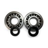 Crankshaft Bearing Set with SKF C4 Ball Bearings and Seal