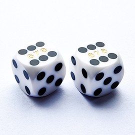 Bescon Professional Precision Dice Round Corner 9/16" (14.3mm) with Random Serial Number, Precision Cut Dice 14.3MM Solid White, 2pcs Set
