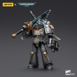 BEERISE JOYTOY 1/18 Action Figures - Warhammer 40,000 Grey Knights Interceptor Squad Interceptor with Storm Bolter and Nemesis Force Sword - 5‘’,Classic Character,Collectible,Age 15 and Above