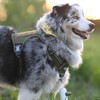 AUROTH Tactical Dog Harness for Large Dogs No Pull Adjustable